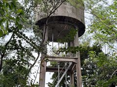 -火炉山森林公园