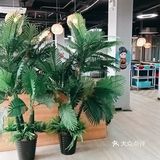 早早就来吃，美好一天的开始！