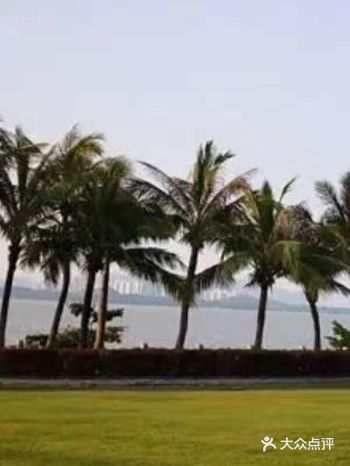 前言：来深圳旅游，如果逛遍了城市，那么就来游人不算多