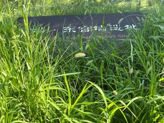 -汉长安城未央宫国家考古遗址公园