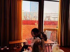-楼上猫咖(罗湖店)