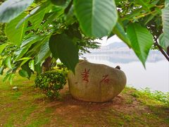 -团城山公园