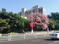 -溪岸路花鸟市场