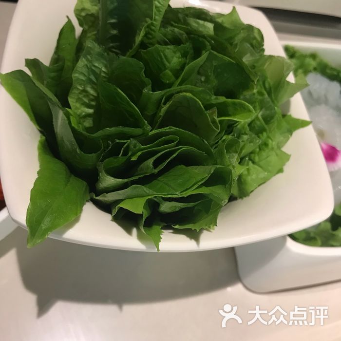 海底捞火锅油菜(半份)图片