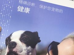 -宠颐生斯嘉宠物医院·急重症·心内科(谷阳北路分院)