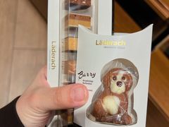 -Laderach 莱德拉(上海环贸iapm店)