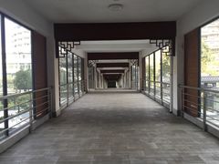 -广州中医药大学第一附属医院(总院)