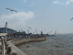 -星海湾跨海大桥