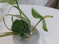 -茉里乐章(花园店)