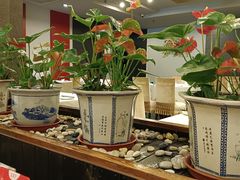 -峨嵋酒家(牡丹园店)