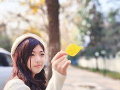 -三里屯东五街银杏大道