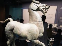 -广西壮族自治区博物馆