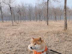 -东郊湿地公园