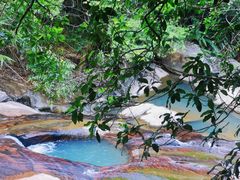 -广州白江湖森林公园