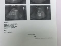 -中农大我爱我爱24h动物医院·中医针灸·猫专科·骨科医疗中心(双井店)