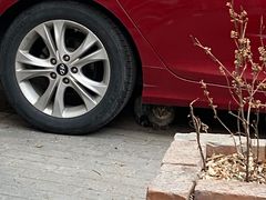 -萌兽医馆·犬猫专科·眼科中心·宠物医院(朝阳门分院)