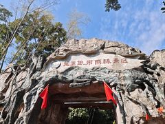 -莫里热带雨林景区