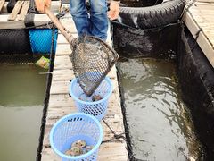 -海上驿站渔家菜馆