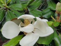 -金堂县云顶石城风景区