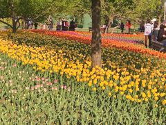 -长春公园(普阳街道)