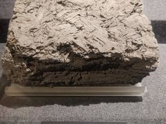 -河姆渡遗址博物馆