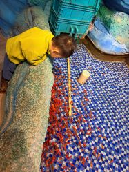 -酷嗒动物文化乐园(cutezoo西溪乐天城店)