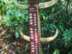 -西双版纳基诺山寨