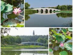 -南海子公园