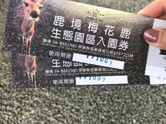 -鹿境梅花鹿生态园区