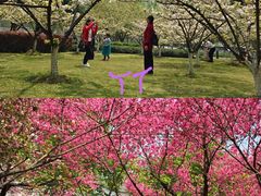 -白塘生态植物园