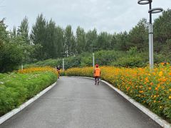 -长春公园(普阳街道)