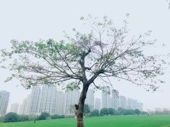 -重庆中央公园(渝北区)