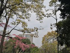 -晓港公园