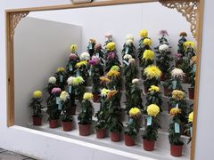 -共青国家森林公园-售票处
