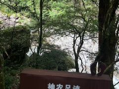 -炎陵县神农谷国家森林公园