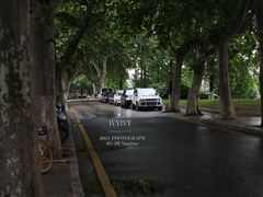 门前梧桐树-EN SPACE恩空间