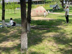 -高尔山公园