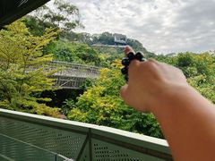-福道