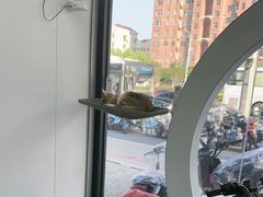 -小牛电动(上海浦东新区张杨路店)