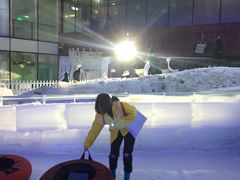 -世界之窗阿尔卑斯冰雪世界