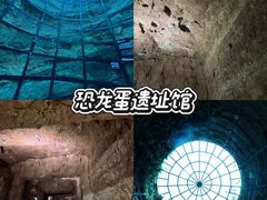 -中国西峡恐龙遗迹园