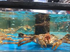 -盒马鲜生(皇庭广场店)