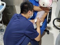 -哆趣宠物医院·眼科·内镜·急重症转诊中心(上海店)