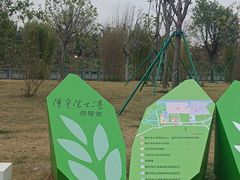 -长洲岛