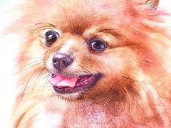 -八哥美术·成人美术画室(总校区)