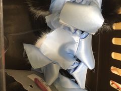 -美联众合动物医院·24h京西诊疗中心