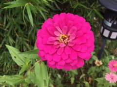 -帐篷客·溪龙茶谷度假酒店