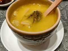 -张江海科雅乐轩聚聚乐