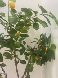 -俏宝贝照相馆(QBB儿童摄影)