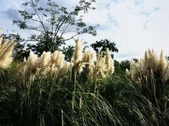 -上海山野camping·户外天幕烧烤·团建拓展营地
